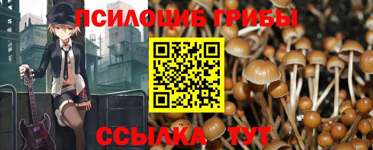 Псилоцибиновые грибы прущие грибы  Псилоцибиновые грибы Psilocybine cubensis  Отрадное  Вход с VPN 